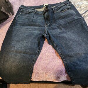 Lane Bryant Jeans 26S